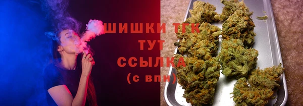 МДПВ Заводоуковск