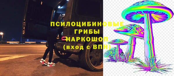 ешки Володарск