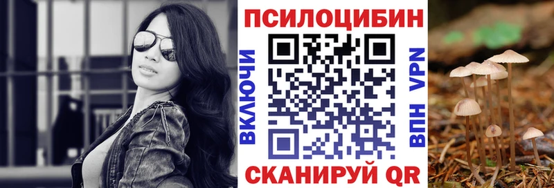 мега ONION  Каменск-Шахтинский  Галлюциногенные грибы Psilocybine cubensis 